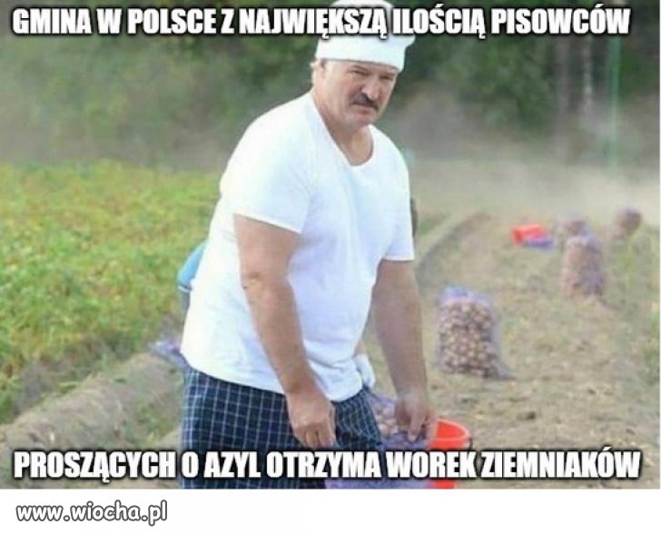Łukaszenka zaprasza wszystkich buraków PiSu...