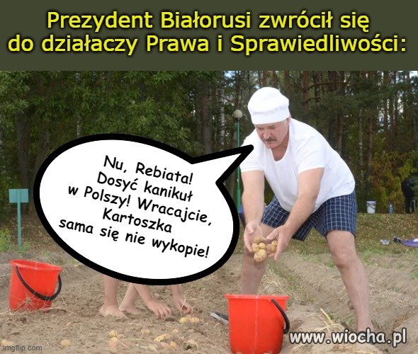 Tylko Baćka uważaj!