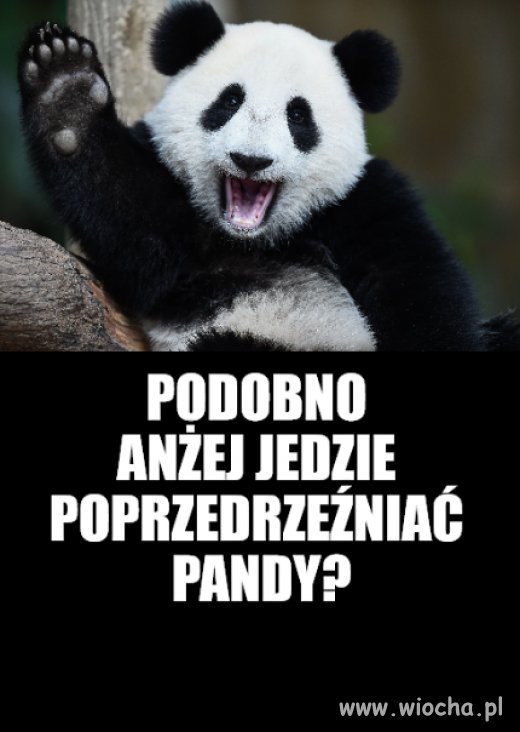 Kolega pytał
