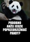 Kolega pytał