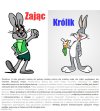 Wiele osób myli zająca z królikiem!