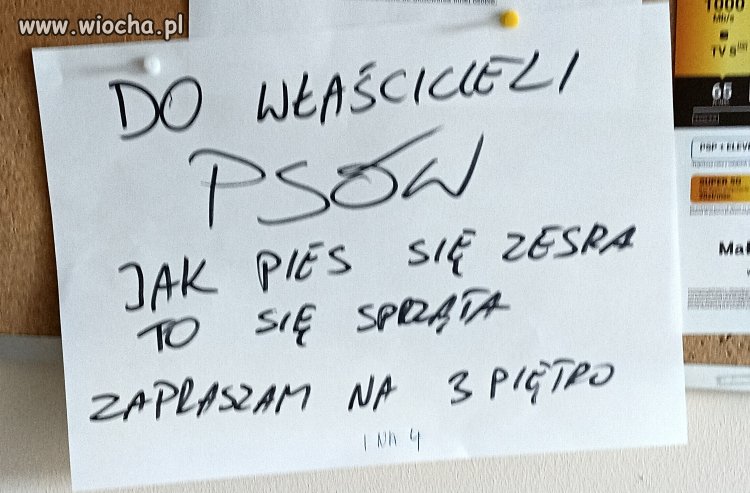 Gdy zdarzy się incydent kałowy 