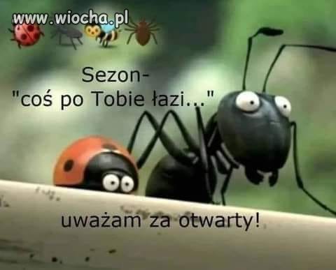 Majówka.