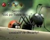 Majówka.