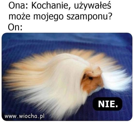 Albo naucz się kłamać 