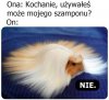Albo naucz się kłamać 