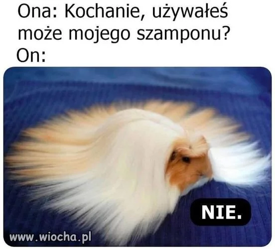 Albo naucz się kłamać 