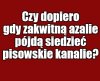 Kolega pytał