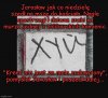 Niecodzienne przygody