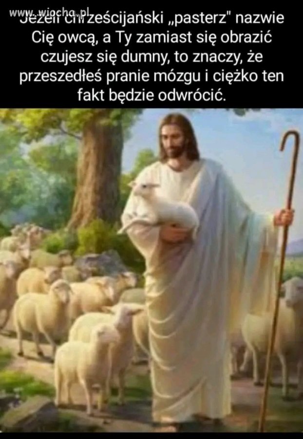 Słowo na niedzielę