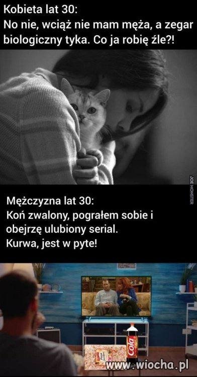 Różnica płci 
