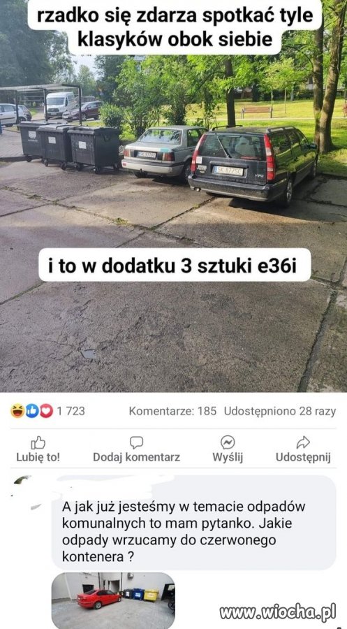 Rzadki widok.