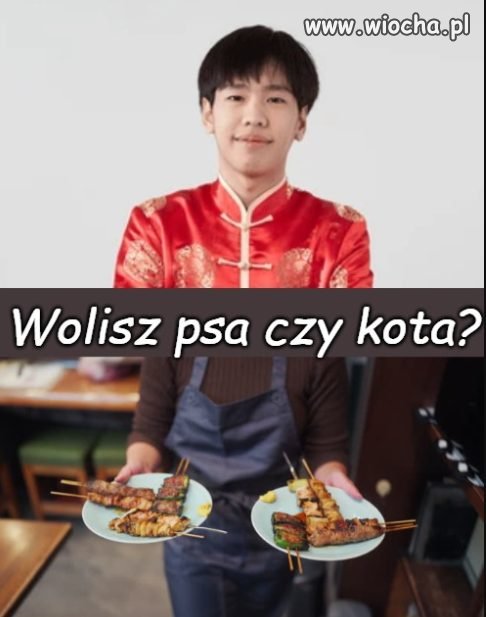 Lubicie zwierzątka?