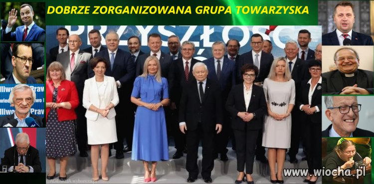 Zorganizowani