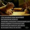 Doskonale wymyślone i to wszystko co pozytywne