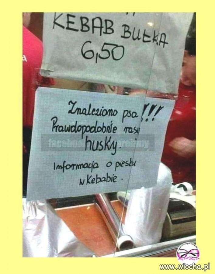 Uciekł piesek?