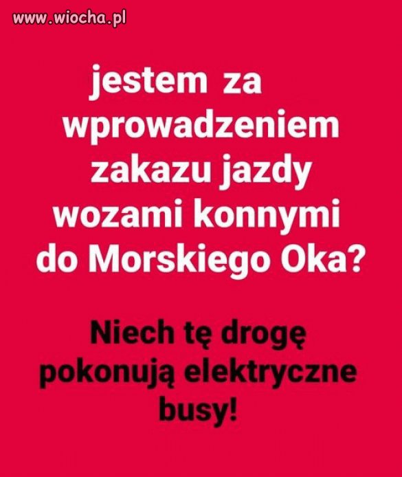 100%