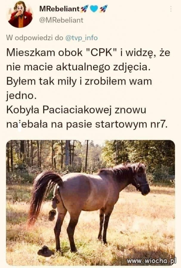 Pilne! Najnowsze wieści z CPK ...