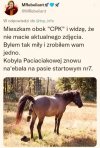 Pilne! Najnowsze wieści z CPK ...