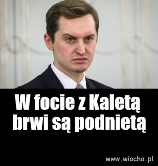 Orzeł z Muppet Show