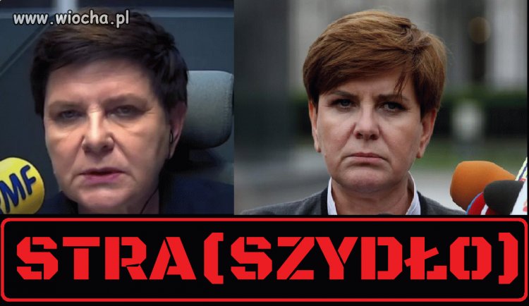 Babochłop