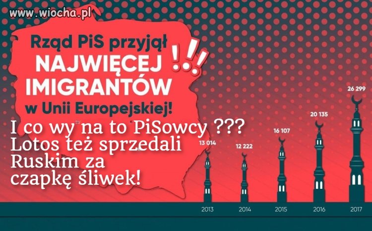 Płot postawili na granicy  za grube miliony na pokaz