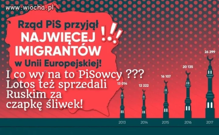 Płot postawili na granicy  za grube miliony na pokaz