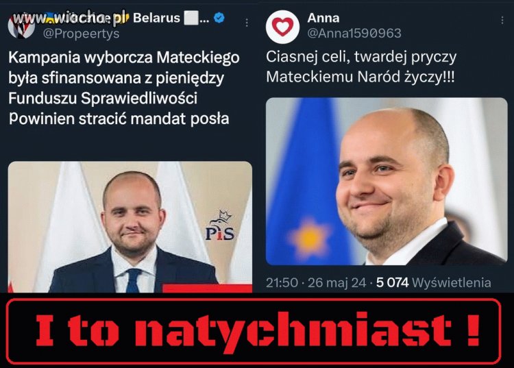 Ścierwo pisowskie
