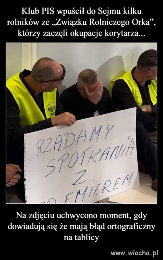 PiS i jego wyborcy. Ciemni, roszczeniowi, bezmózgi