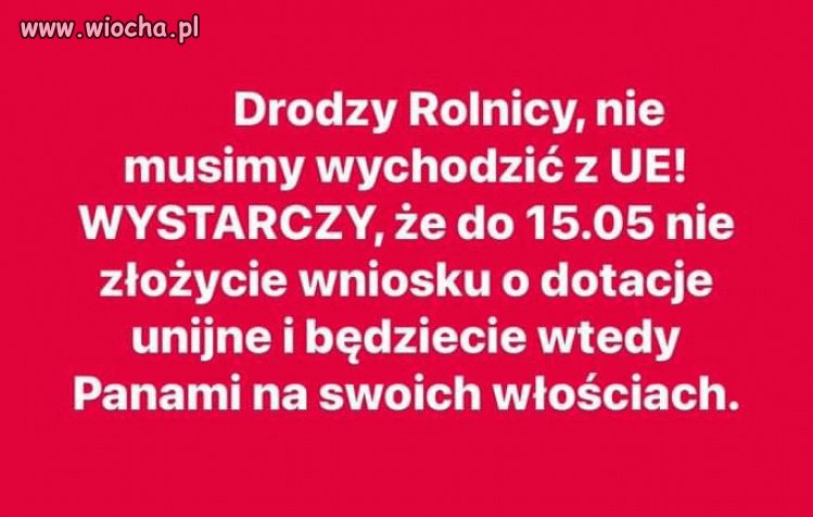 Tyle w temacie
