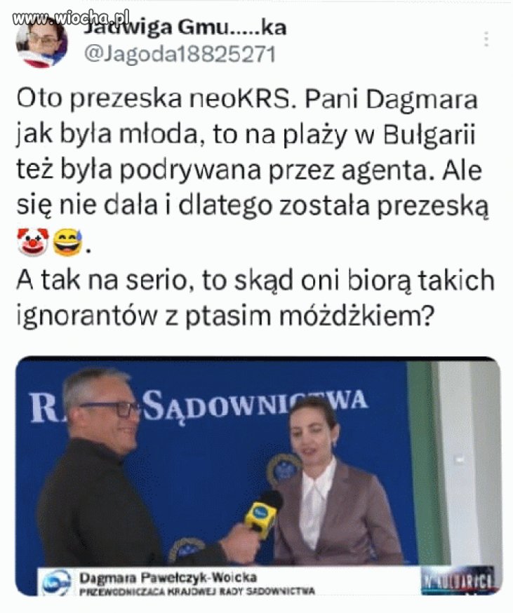 Oni ich w kapuście znajdują czy na wykopaliskach?