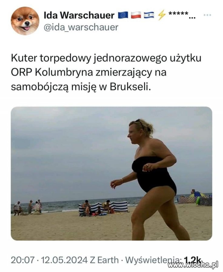 Jednostka jednorazowa do walki w Brukseli ...