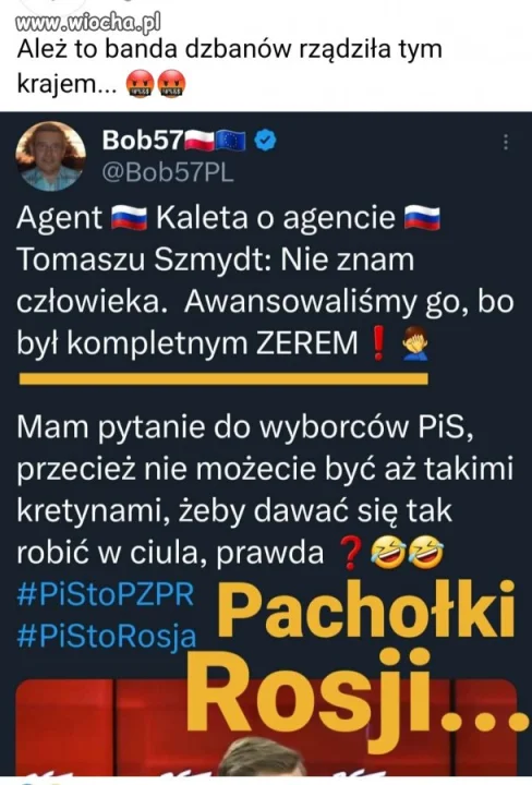 PiS-jedna wielka banda debili 