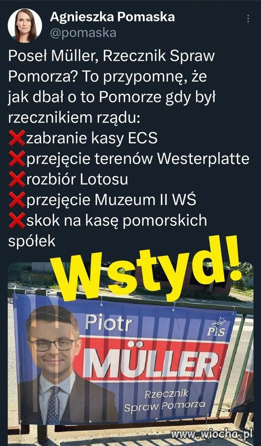 Müller ty qtasie