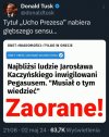 Ucho prezesa