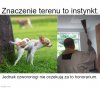 Oszczane?