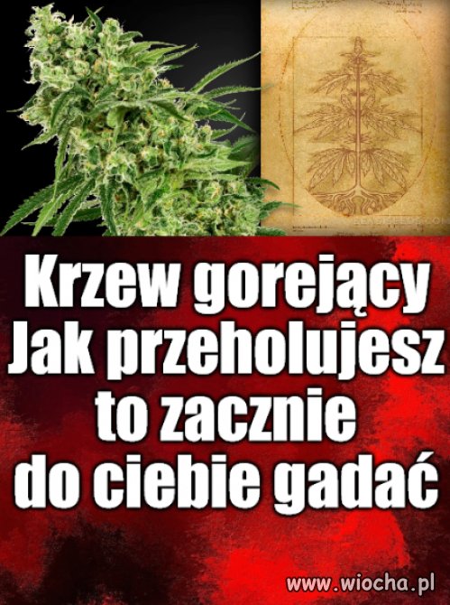 Kaprawym okiem ateisty patrząc ...