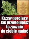 Kaprawym okiem ateisty patrząc ...