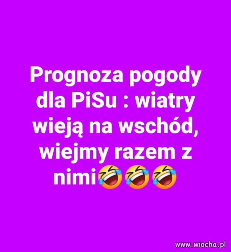 Wiej, wietrze wiej. Niech ich wszystkich wywieje