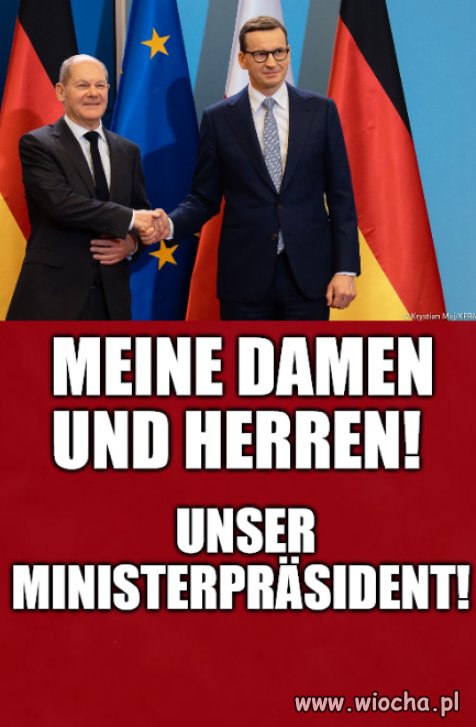 Ulubieniec cioci Stasi
