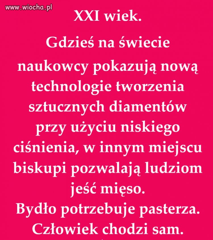 Biskupi wydali ważny dokument!   