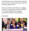 Poliniaki 