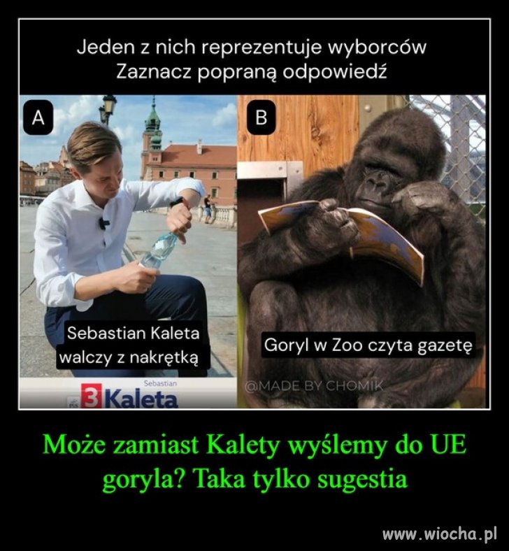 Wyborcy PiS !