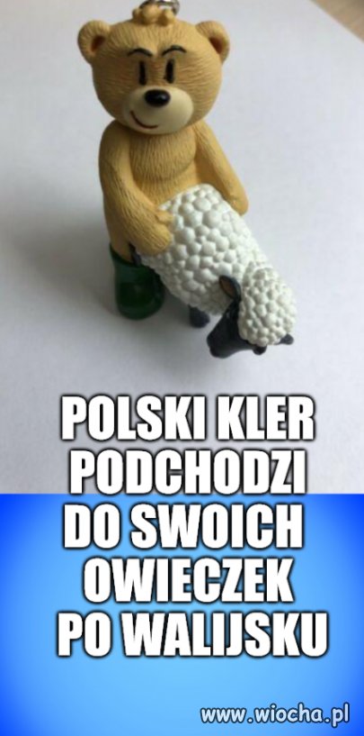 Pedobear wersja hard