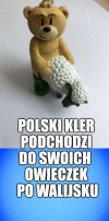 Pedobear wersja hard