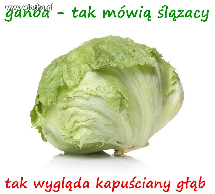 Kolejna wtopa 