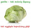 Kolejna wtopa 