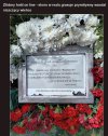 Taka prawda, ktorej nie lubi Jaroslaw Kaczynski...