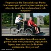 Kolejny kon padl w drodze na Morskie Oko!!!