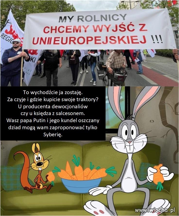 My rolnicy, czyli czerwone warchoły pisobory.
